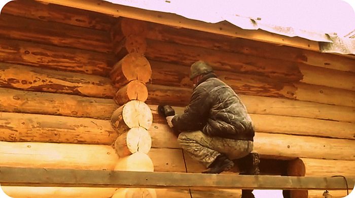 сколько стоит шлифовка дома из бревна 